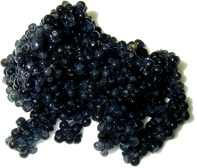 Les meilleurs caviars en voici quelques exemples